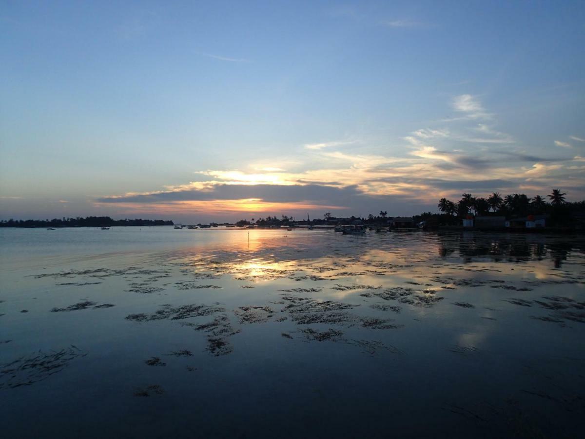 Blue Coral Homestay Karimunjawa Luaran gambar