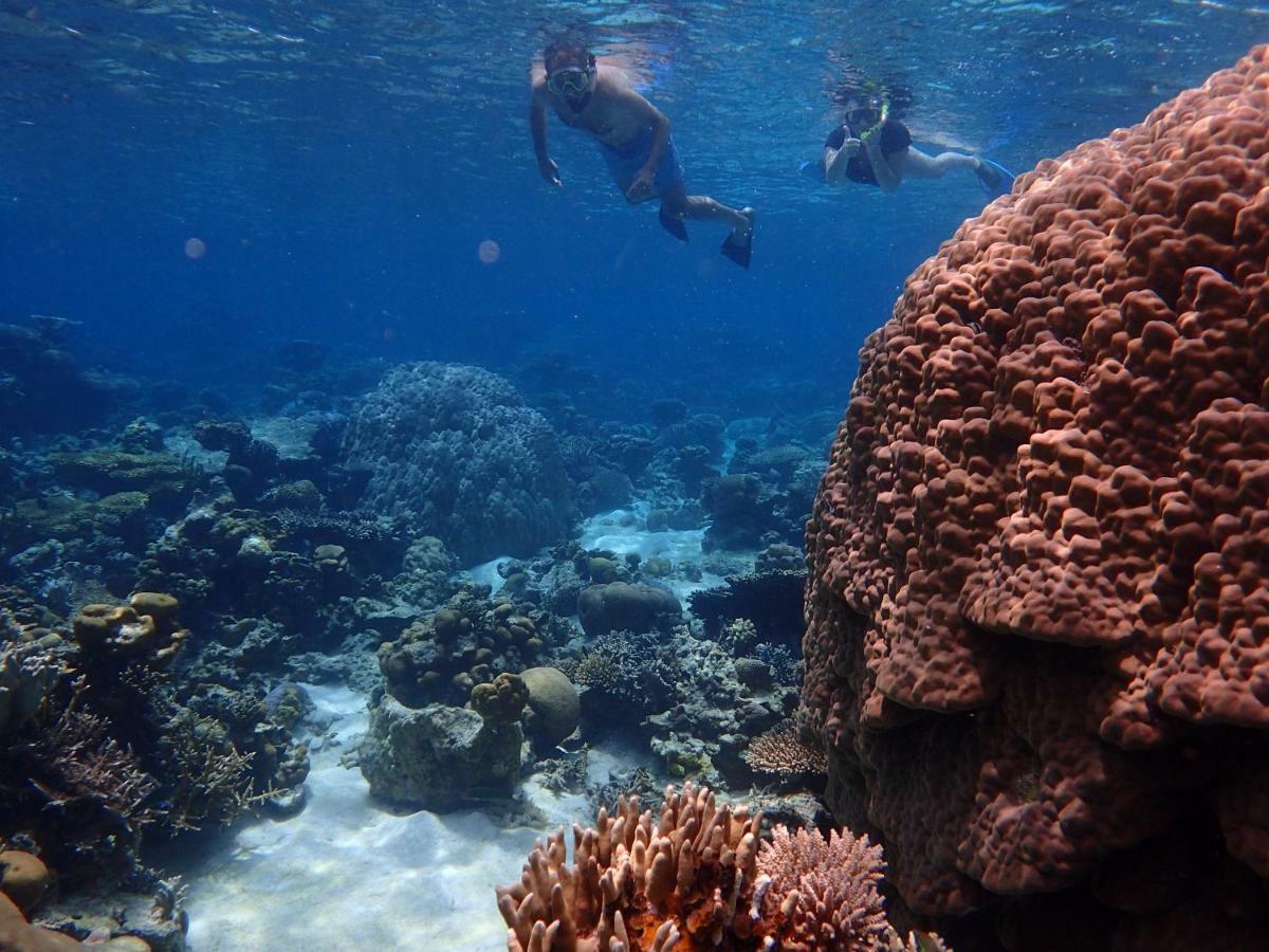 Blue Coral Homestay Karimunjawa Luaran gambar