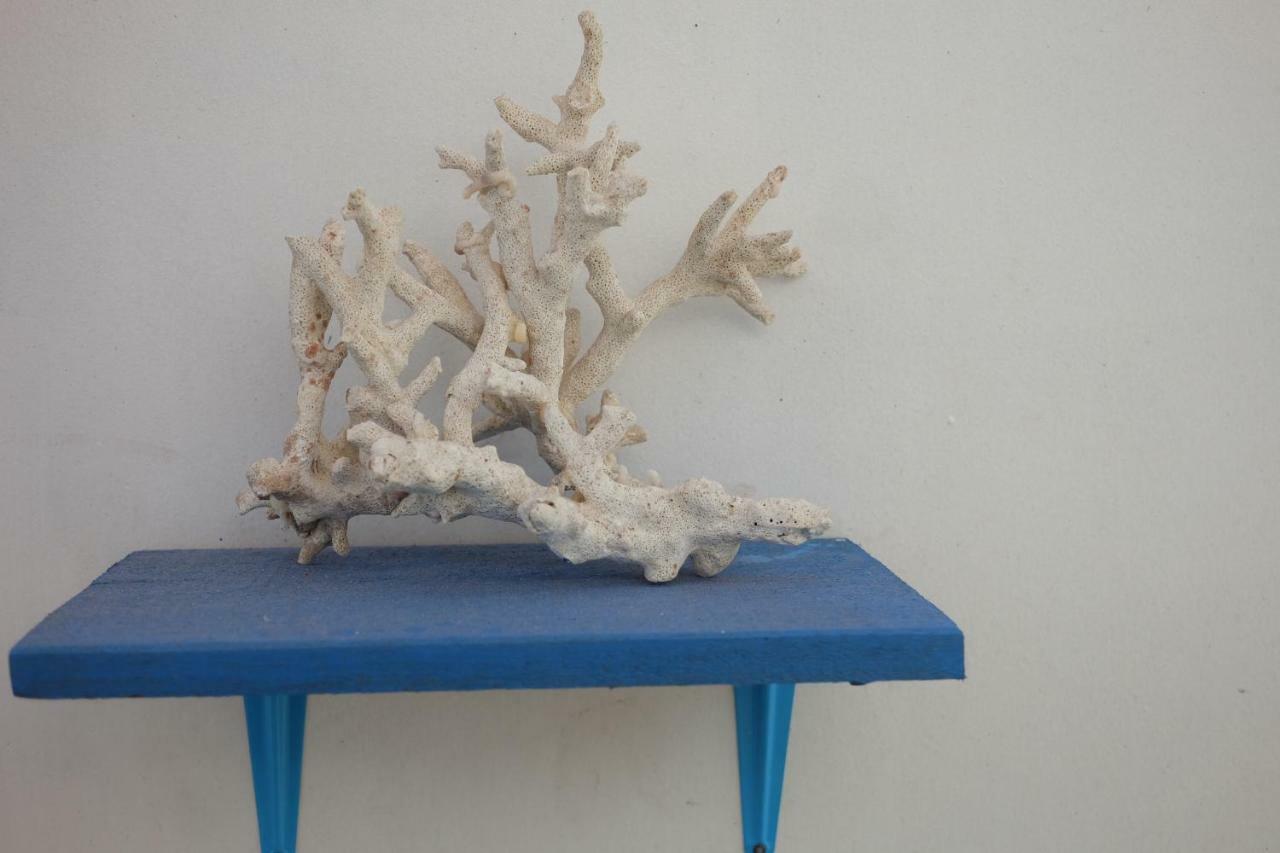 Blue Coral Homestay Karimunjawa Luaran gambar